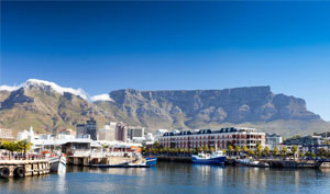 sharepoint development company in western cape